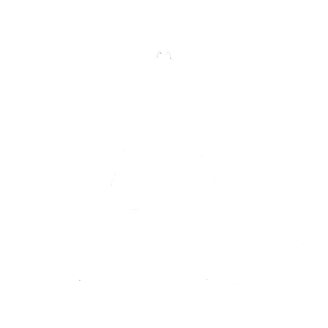 Boat Icon